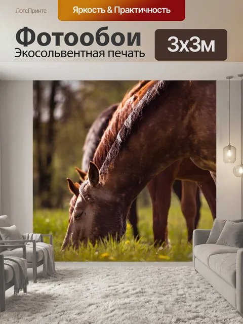 Фотообои Лошади
