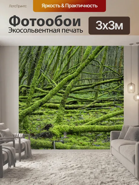 Фотообои Деревья Мосс обернутый
