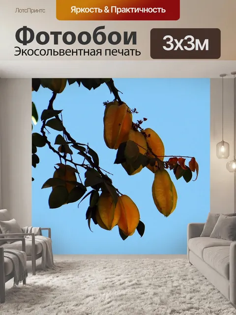 Фотообои Карамболь
