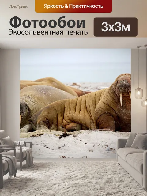 Фотообои Море