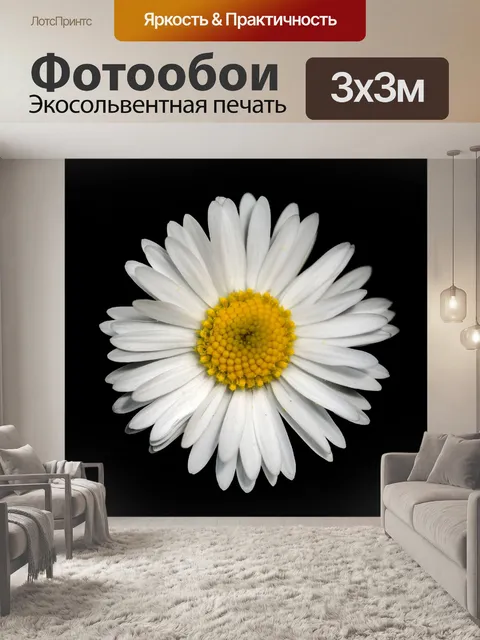 Фотообои Маргаритка
