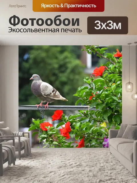 Фотообои Голубь