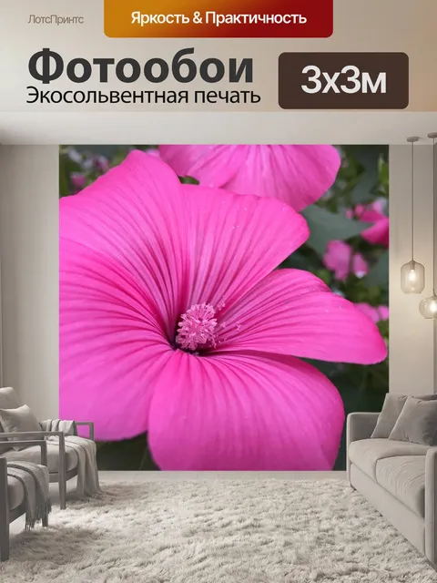 Фотообои Цветок