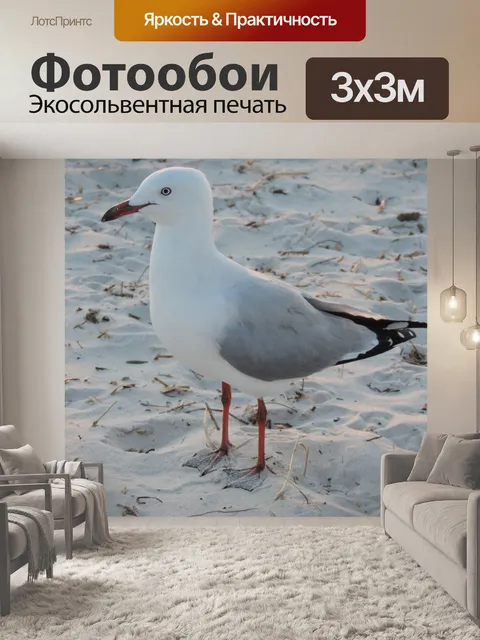 Фотообои Чайка ждет чипсов