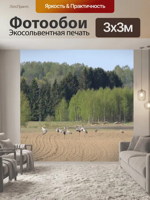 Фотообои Природа
