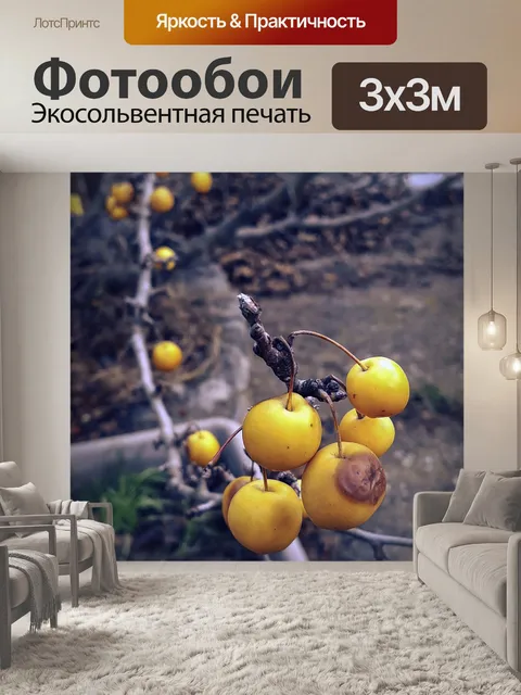 Фотообои Яблоки