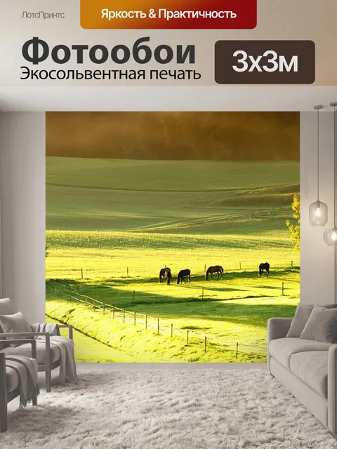 Фотообои Лошади