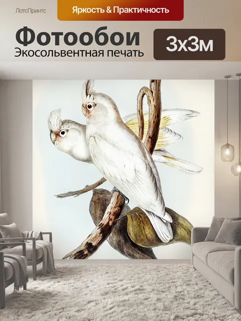 Фотообои Попугай какаду птица винтаж