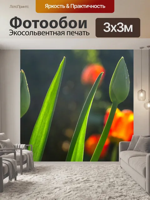 Фотообои Цветок