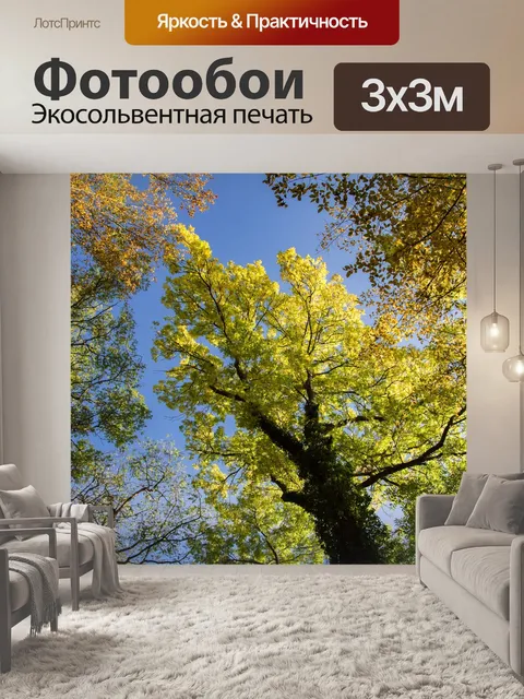 Фотообои Деревья