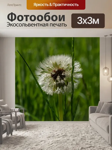 Фотообои Увядший одуванчик