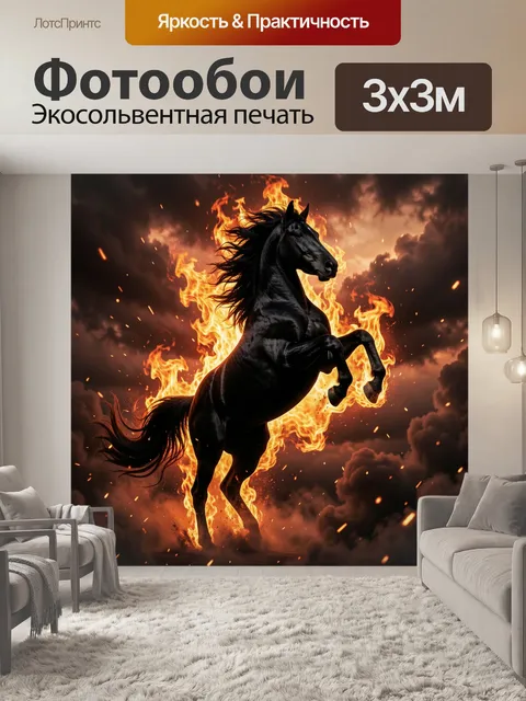 300 × 300 см · Экосольвентная печать
