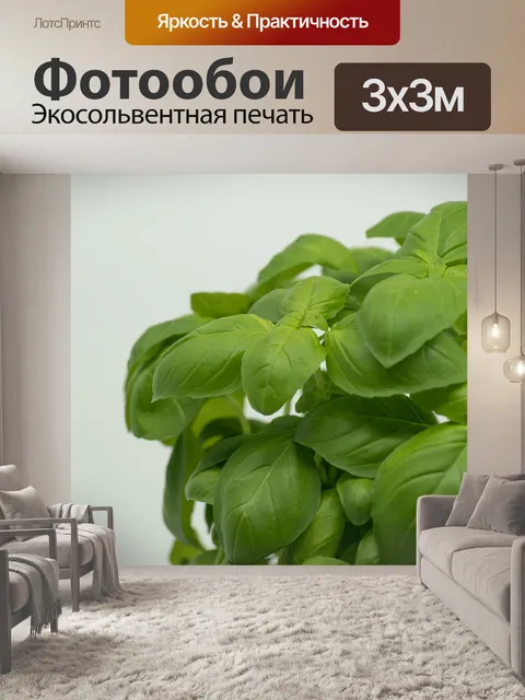 Фотообои Бэзил