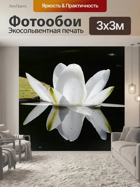 Фотообои Лили