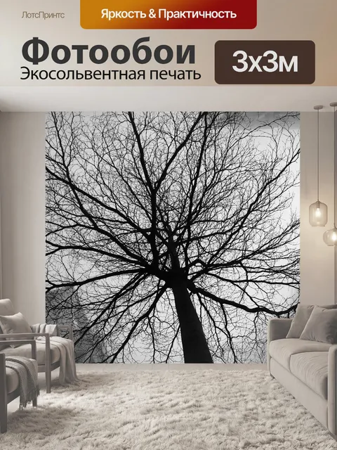 Фотообои Черно белое изображение