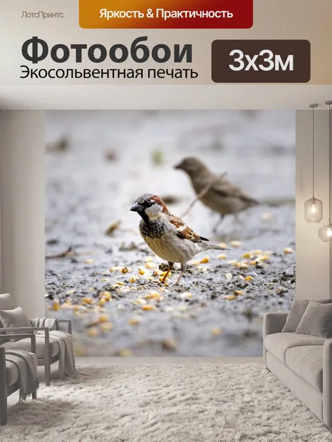 Фотообои Воробей