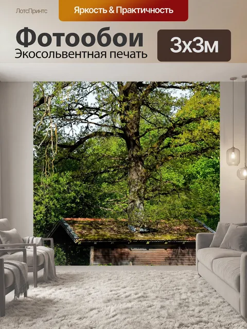Фотообои Домик на дереве