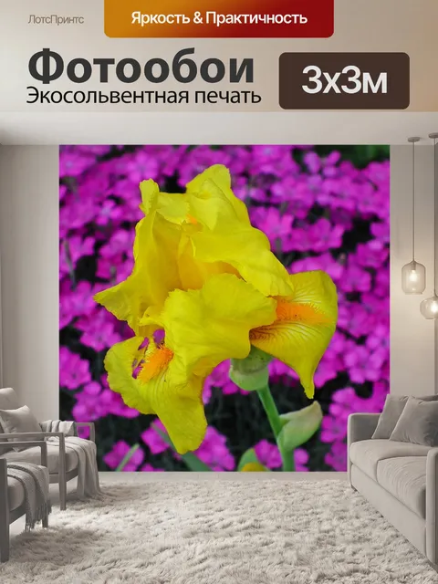 Фотообои Ирис