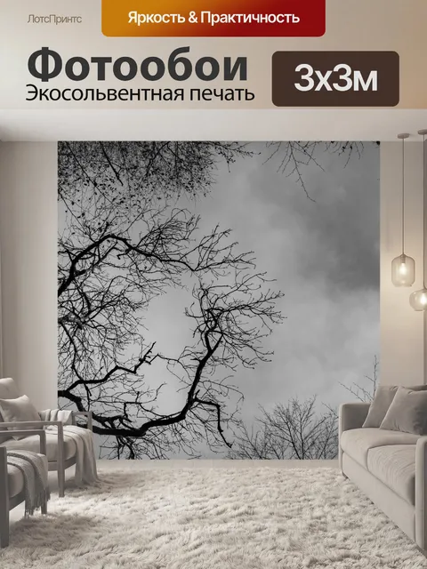 Фотообои Деревья без листьев