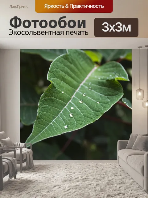 Фотообои Листья