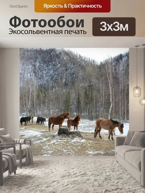 Фотообои Россия