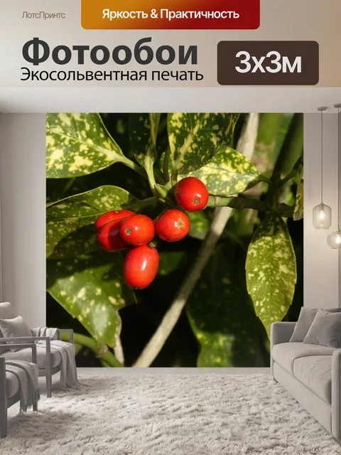 Фотообои Ягоды