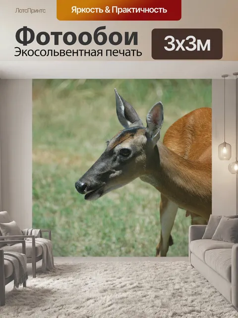 Фотообои Олень в дикой природе
