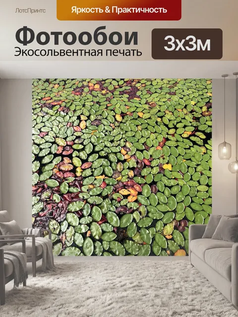 Фотообои Листья