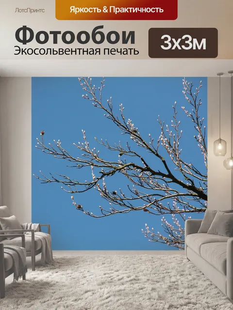 Фотообои Бутон