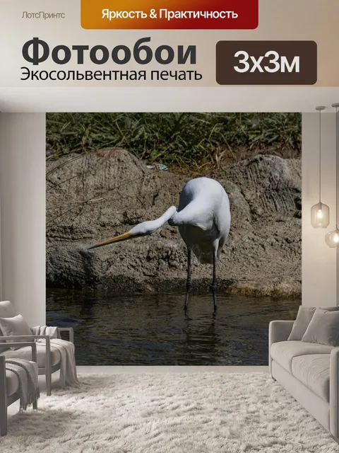 Фотообои Белая цапля