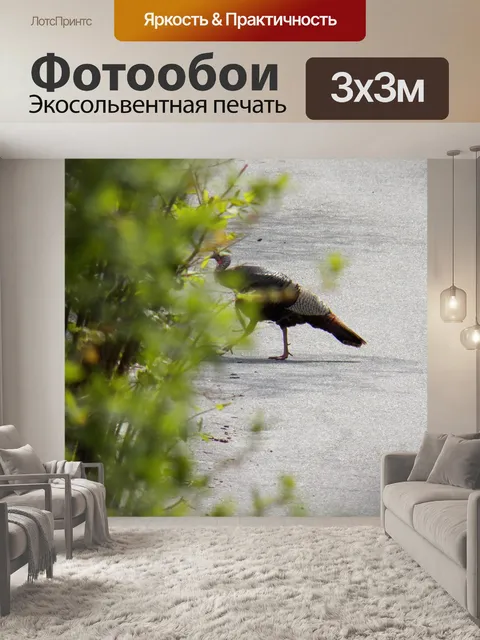 Фотообои Турция