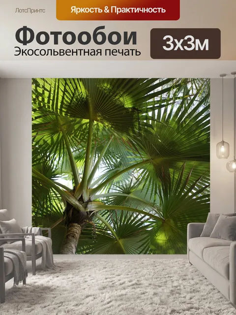 Фотообои Пальма
