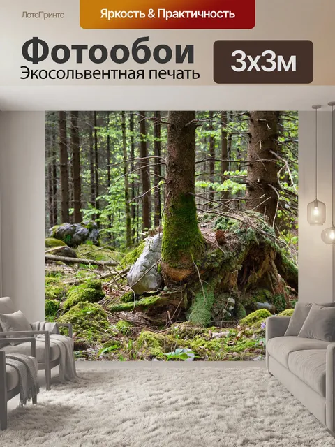 Фотообои Рост