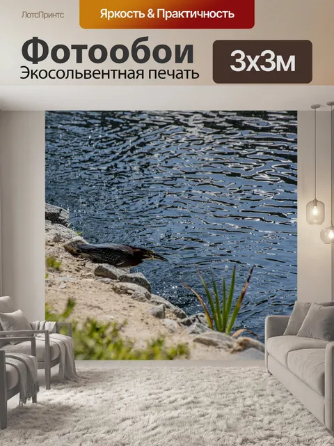 Фотообои Зеленая цапля поймала рыбу