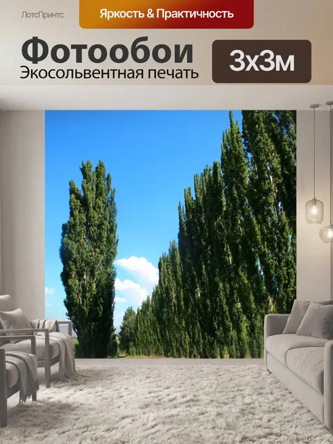 Фотообои Ломбарди тополь пер