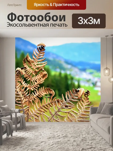 Фотообои Папоротник