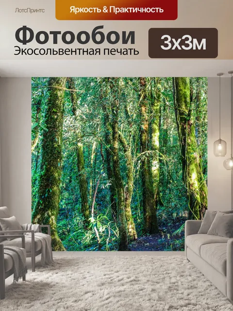 Фотообои Тропический лес в Дои Интанон, Чиангмай