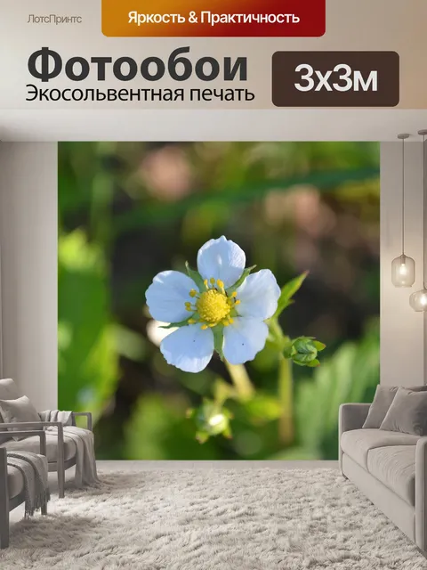 Фотообои Цветы