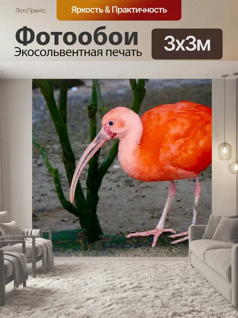 Фотообои Фламинго