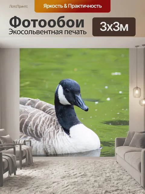 Фотообои Птица