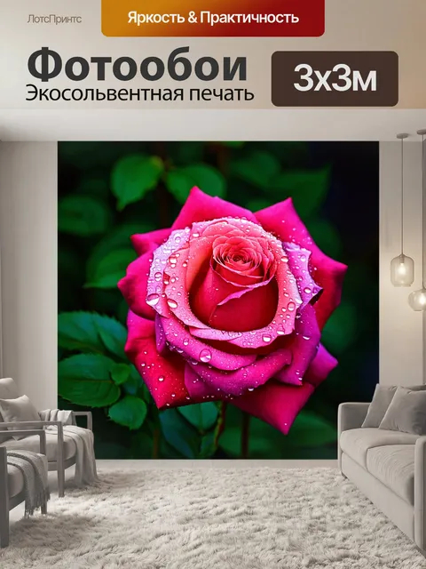 Фотообои розы в стиле манга, с крупным планом на капли росы на лепестках, фокус на текстурах и деталях