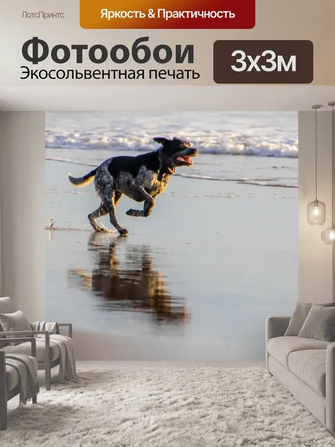 Фотообои Собака