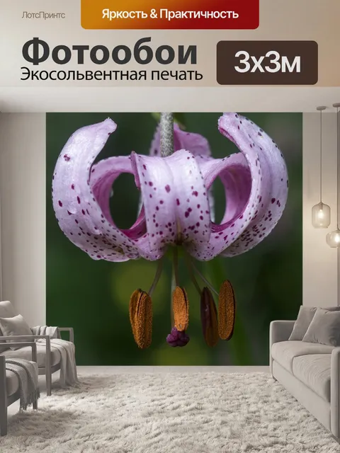 Фотообои Тень лили