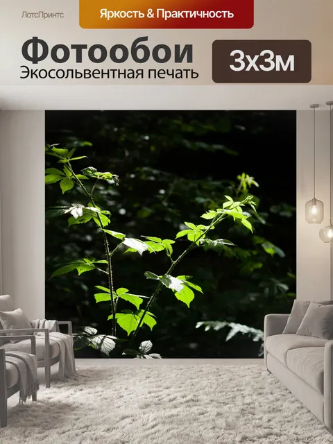 Фотообои Подлесок