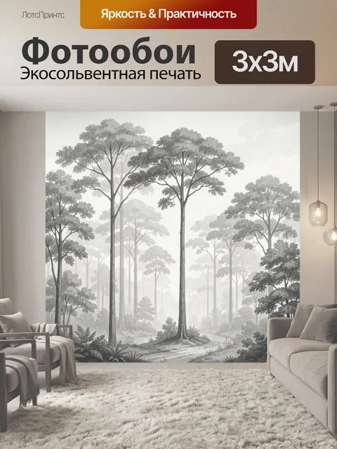 Фотообои Туманный лес с высокими соснами