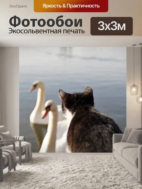 Фотообои Кот