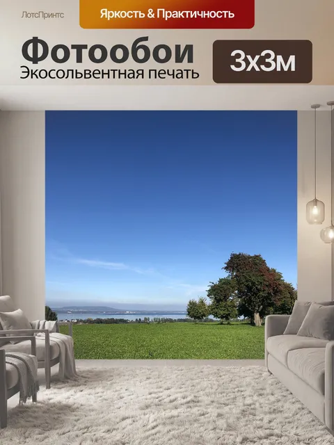 Фотообои Деревья