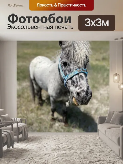 Фотообои Лошадь
