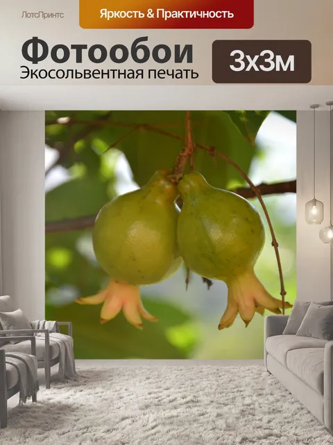 Фотообои Фрукты