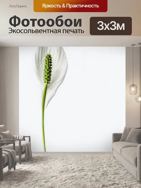 Фотообои Мир лилии